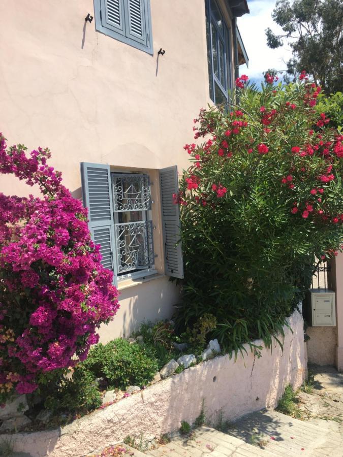 Des Terres Chaudes Proche Bord De Menton