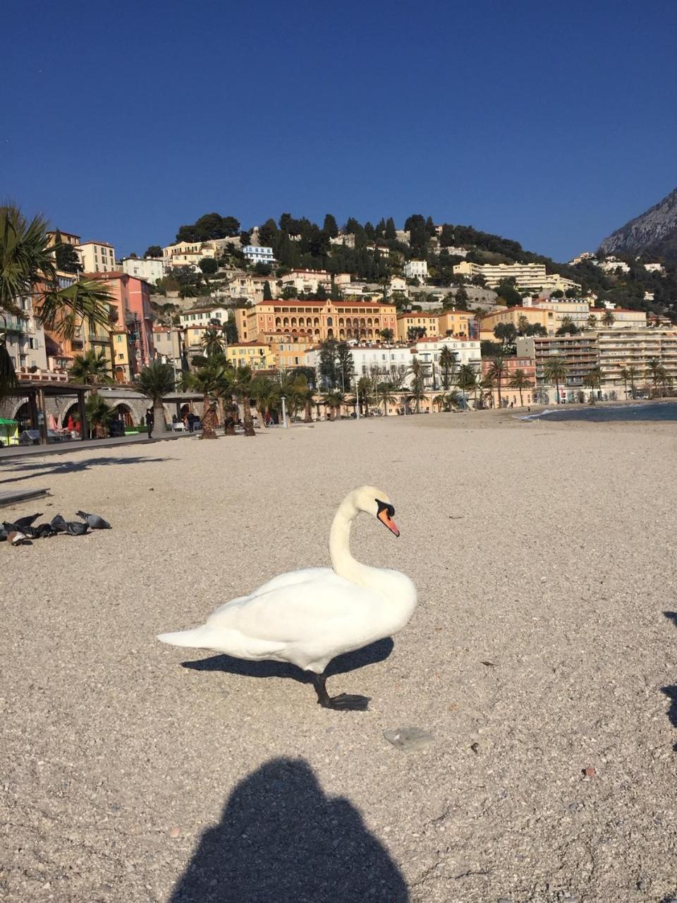 Apartment Des Terres Chaudes Proche Bord De Menton